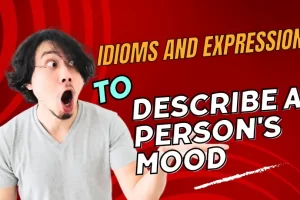 idioms-and-expressions-to-describe-a-person-s-mood-64dda15f35878.webp