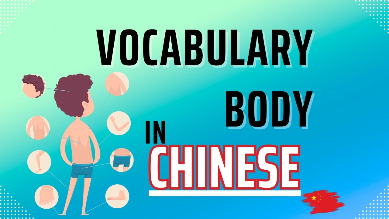 Vocabulary Body in Chinese